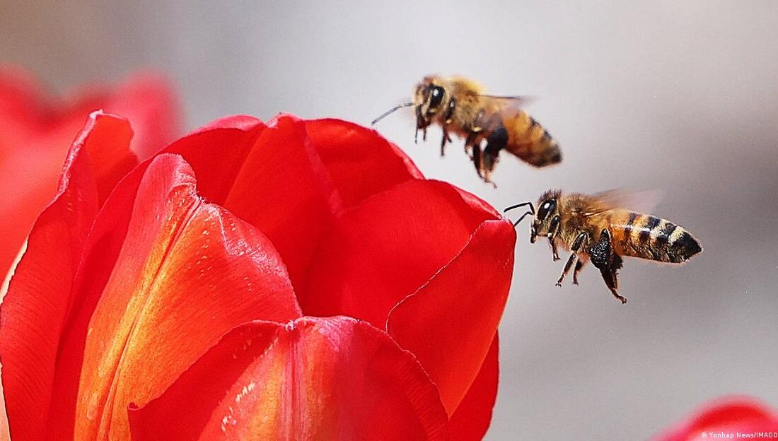 Bahar aylarında sıkça dile getirilen “bahar yorgunluğu” kavramının, bilimsel verilerle