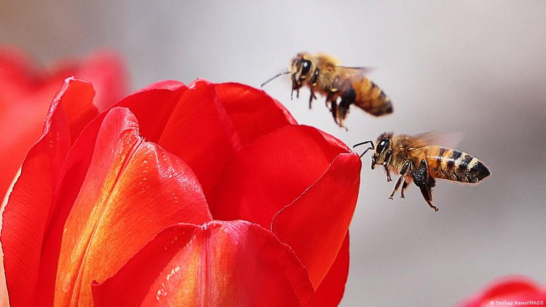 Bahar aylarında sıkça dile getirilen “bahar yorgunluğu” kavramının, bilimsel verilerle