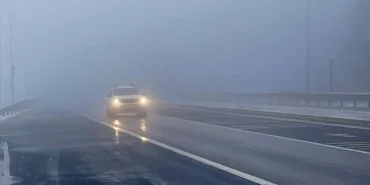 WhatsApp Image 2026-04-02 at 09.59.59