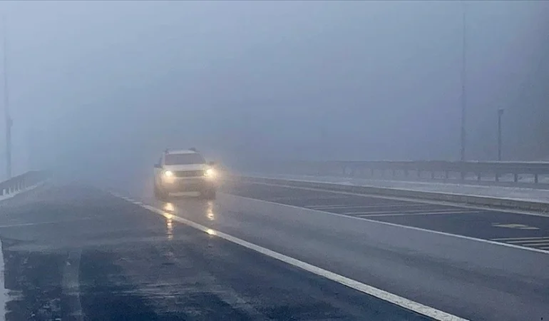 WhatsApp Image 2026-04-02 at 09.59.59