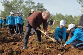 WhatsApp Image 2026-04-02 at 10.36.28