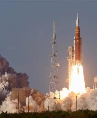 WhatsApp Image 2026-04-02 at 10.52.31