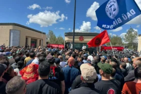 WhatsApp Image 2026-04-06 at 13.54.49