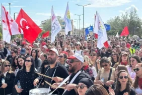 WhatsApp Image 2026-04-08 at 09.45.22