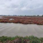 WhatsApp Image 2026-04-14 at 14.01.24