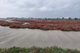 WhatsApp Image 2026-04-14 at 14.01.24