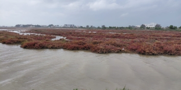 WhatsApp Image 2026-04-14 at 14.01.24