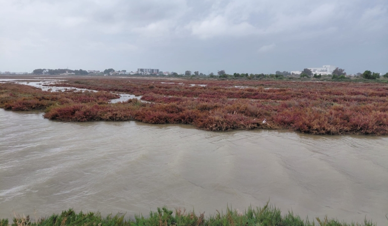 WhatsApp Image 2026-04-14 at 14.01.24