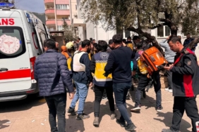 WhatsApp Image 2026-04-16 at 10.21.05