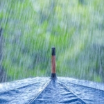 WhatsApp Image 2026-04-17 at 15.22.06 (1)