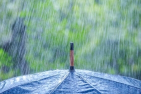 WhatsApp Image 2026-04-17 at 15.22.06 (1)