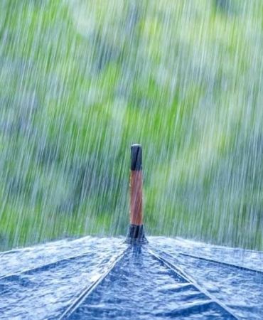 WhatsApp Image 2026-04-17 at 15.22.06 (1)