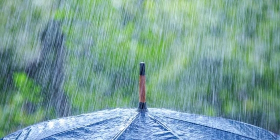 WhatsApp Image 2026-04-17 at 15.22.06 (1)