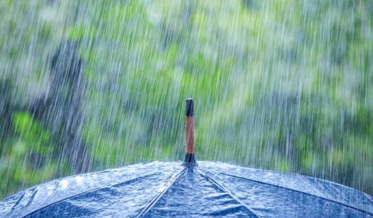 WhatsApp Image 2026-04-17 at 15.22.06 (1)