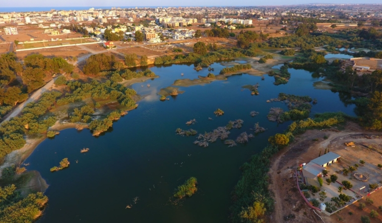 WhatsApp Image 2026-04-17 at 18.06.24