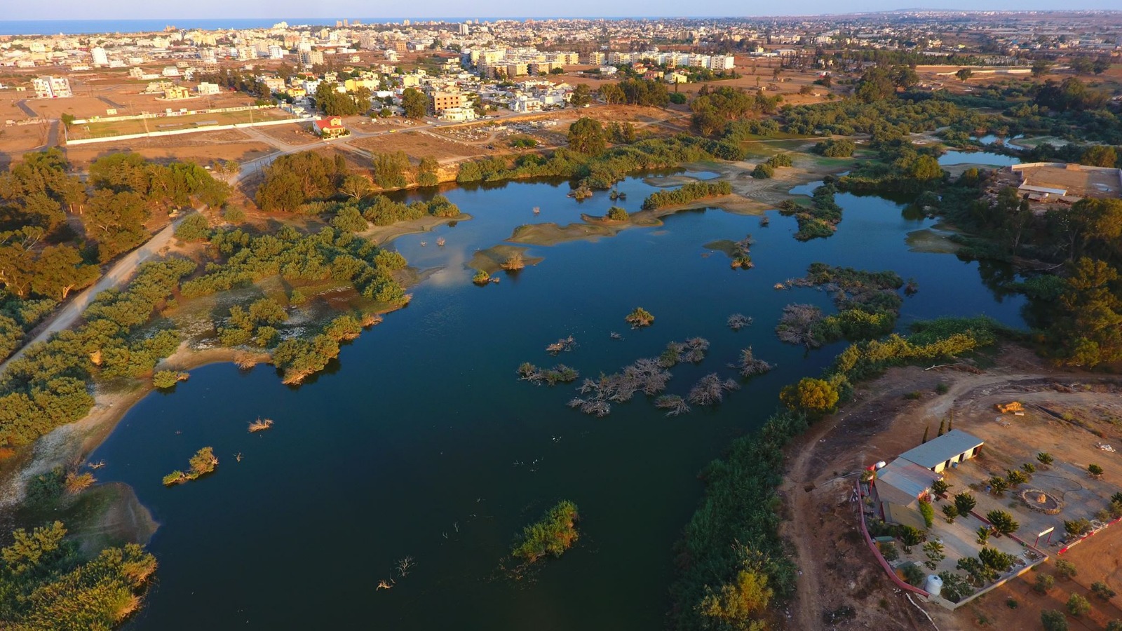 WhatsApp Image 2026-04-17 at 18.06.24