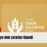 Kırmızı Sade Ekonomi Haber Manşeti Youtube Küçük Resmi (69)