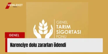 Kırmızı Sade Ekonomi Haber Manşeti Youtube Küçük Resmi (69)