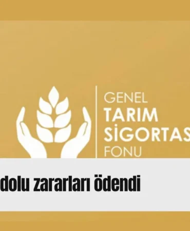 Kırmızı Sade Ekonomi Haber Manşeti Youtube Küçük Resmi (69)