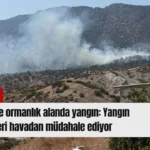 Kırmızı Sade Ekonomi Haber Manşeti Youtube Küçük Resmi - 2026-08-10T165901.047