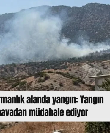Kırmızı Sade Ekonomi Haber Manşeti Youtube Küçük Resmi - 2026-08-10T165901.047