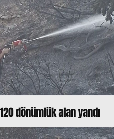 Kırmızı Sade Ekonomi Haber Manşeti Youtube Küçük Resmi - 2026-08-11T142100.771