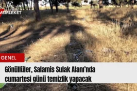 Kırmızı Sade Ekonomi Haber Manşeti Youtube Küçük Resmi - 2026-08-13T135205.943