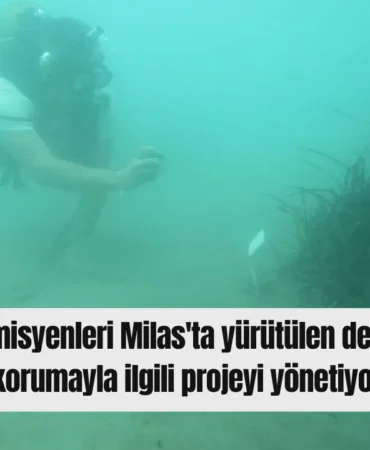 Kırmızı Sade Ekonomi Haber Manşeti Youtube Küçük Resmi - 2026-08-27T135501.623