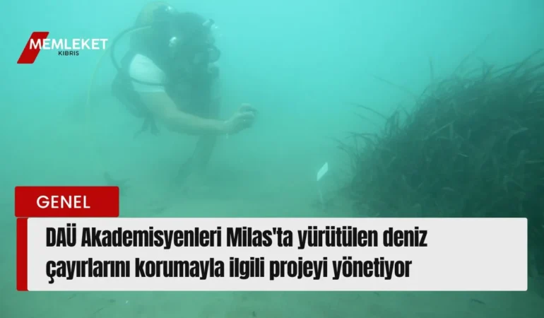Kırmızı Sade Ekonomi Haber Manşeti Youtube Küçük Resmi - 2026-08-27T135501.623