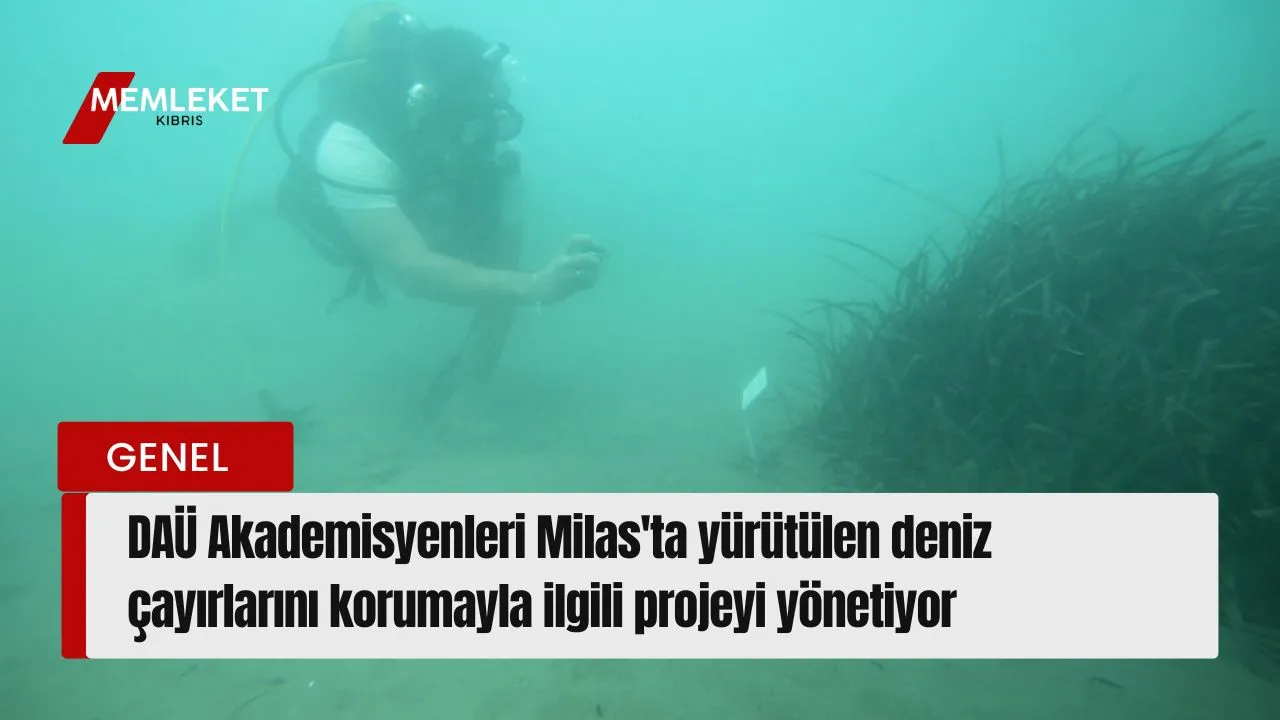 Kırmızı Sade Ekonomi Haber Manşeti Youtube Küçük Resmi - 2026-08-27T135501.623