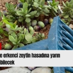 Kırmızı Sade Ekonomi Haber Manşeti Youtube Küçük Resmi - 2026-08-28T102359.546