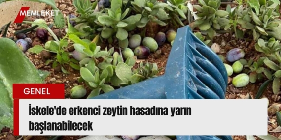 Kırmızı Sade Ekonomi Haber Manşeti Youtube Küçük Resmi - 2026-08-28T102359.546