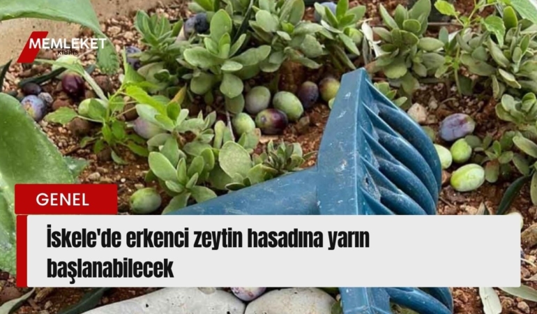 Kırmızı Sade Ekonomi Haber Manşeti Youtube Küçük Resmi - 2026-08-28T102359.546