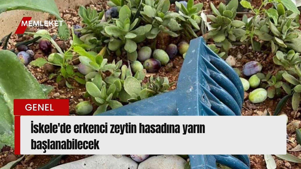 Kırmızı Sade Ekonomi Haber Manşeti Youtube Küçük Resmi - 2026-08-28T102359.546