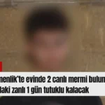 Kırmızı Sade Ekonomi Haber Manşeti Youtube Küçük Resmi (20)
